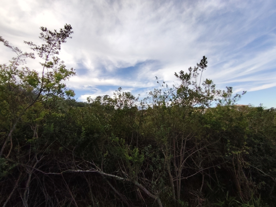 0 Bedroom Property for Sale in Plettenberg Bay Central Western Cape